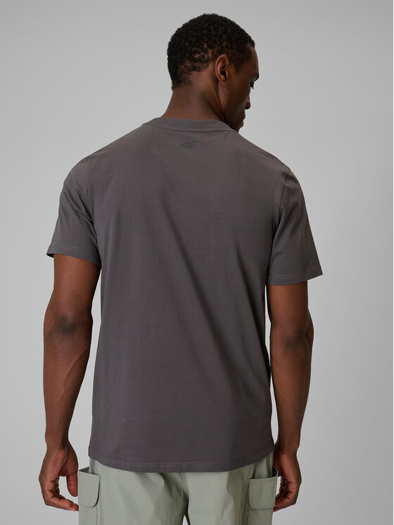 4F 4F T-Shirt TREKKING Szary Regular Fit