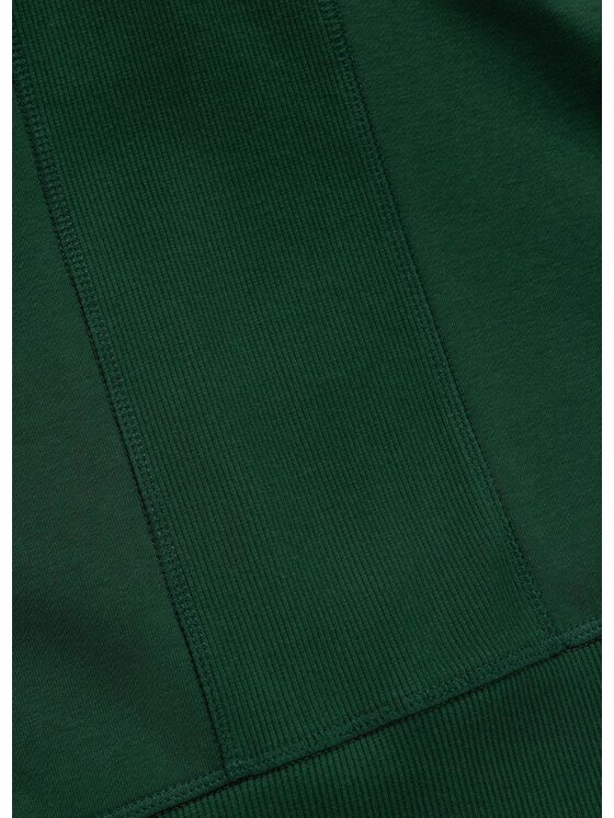 PITBULL PITBULL Bluza BADGER Zielony Regular Fit