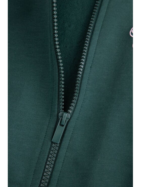Coccodrillo Coccodrillo Mikina ZC5132204HGN-011 Zelená Regular Fit