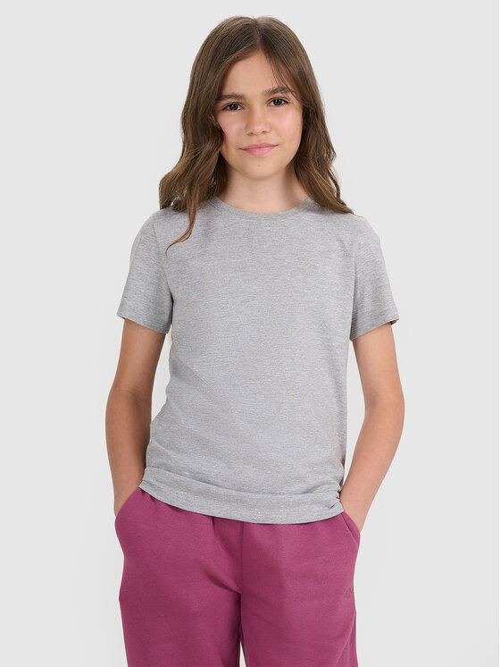 4F 4F T-Shirt BASIC+ Szary Regular Fit