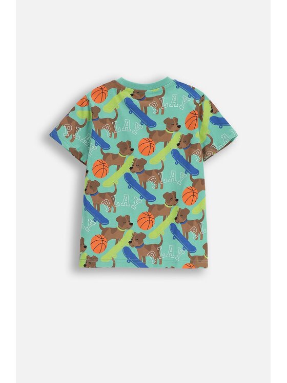 Coccodrillo Coccodrillo T-Shirt ZC5143202ABK-011 Zielony Regular Fit