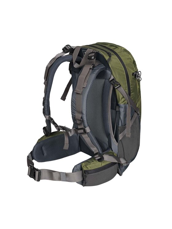 Alpinus Alpinus Plecak Tarfala 35 Zielony