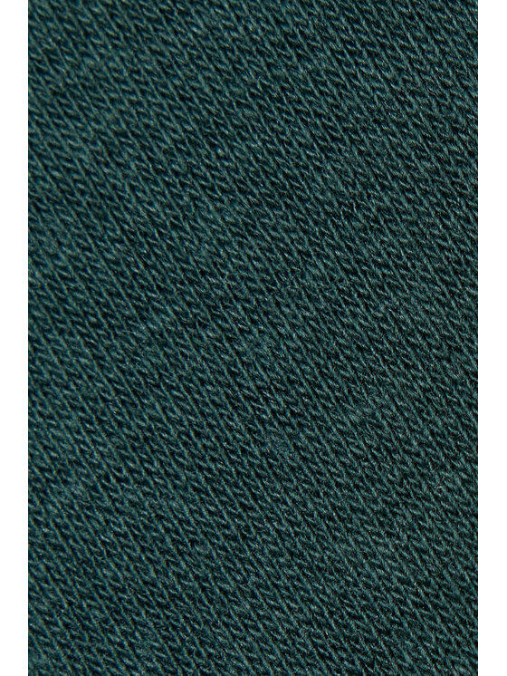 Próchnik Próchnik Spodnie dresowe PM4 SP073224000003 Zielony Regular Fit