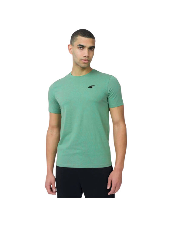 4F 4F Tričko 4FWSS25TTSHM3094-91S Farebná Regular Fit