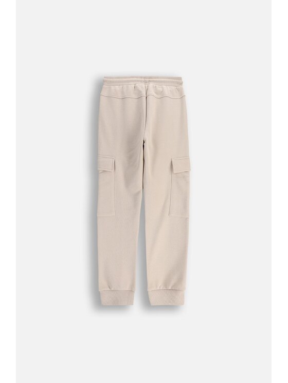 Coccodrillo Coccodrillo Spodnie dresowe ZC5120101CBJ-002 Beżowy Regular Fit