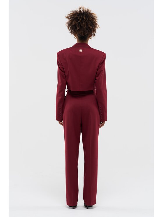BENU BENU Marynarka AW25 Bordowy Regular Fit
