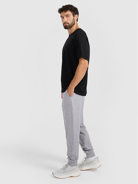 4F 4F Spodnie dresowe MIDSHOP TEXTILE Szary jasny Regular Fit