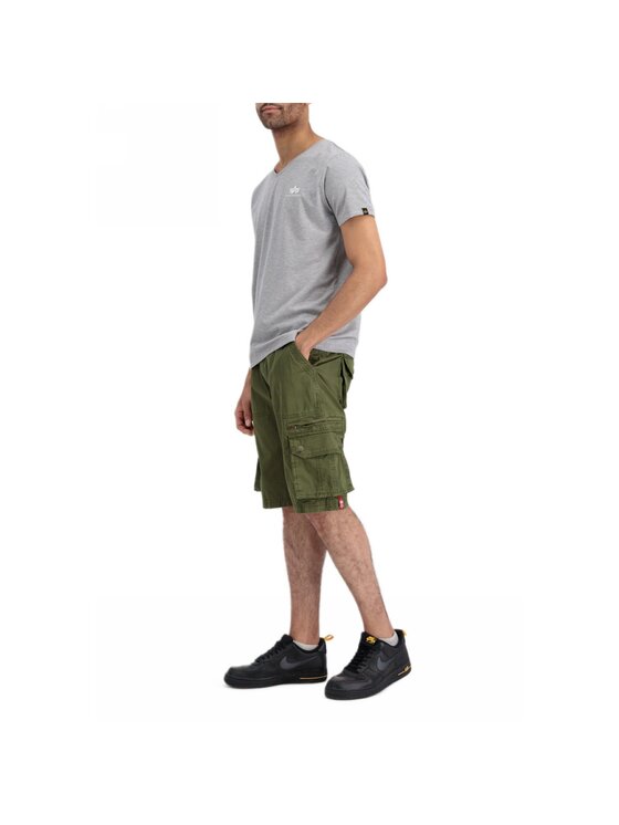 Alpha Industries Alpha Industries T-Shirt AI.106513-17-S Szary Basic Fit