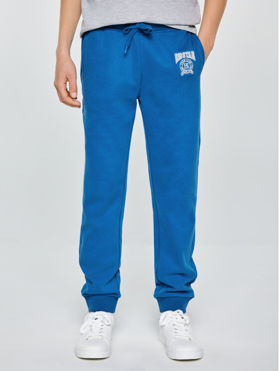 BIG STAR BIG STAR Spodnie dresowe LAMENP Niebieski Basic Fit