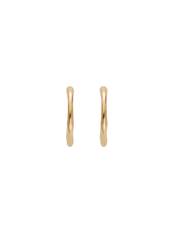 Skagen Skagen Orecchini SKJ1722710 Oro