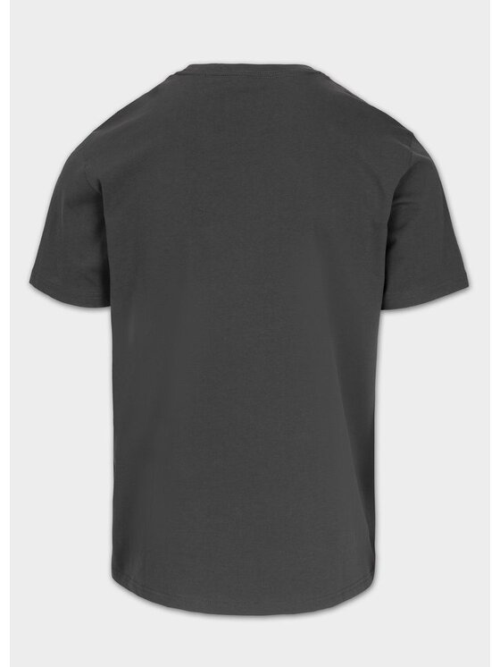 PITBULL PITBULL T-Shirt NORTON Szary Regular Fit