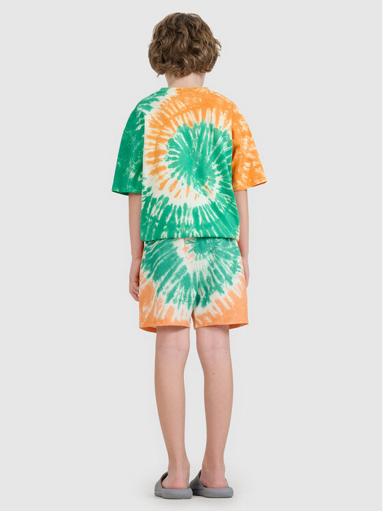 4F 4F Kąpielówki LUSH HORIZON Kolorowy