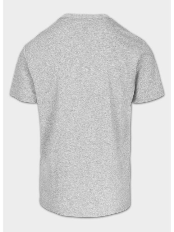PITBULL PITBULL T-Shirt SCOTT Szary Regular Fit