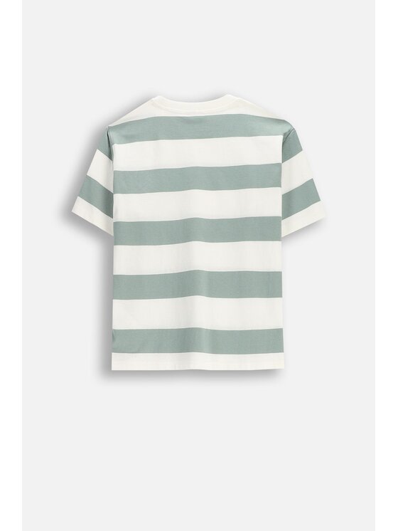 Coccodrillo Coccodrillo T-Shirt WC6143206NBJ-011 Zelená Regular Fit