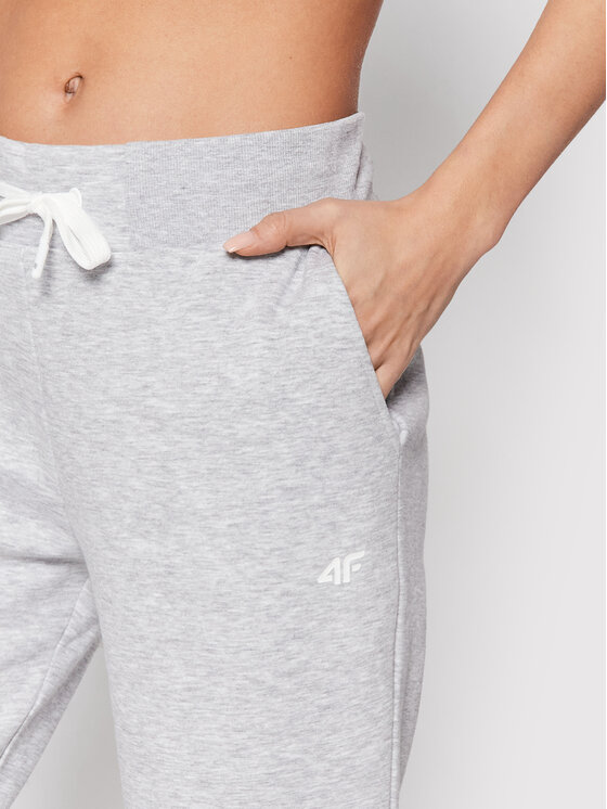 4F 4F Spodnie dresowe SPDD351 Szary Regular Fit