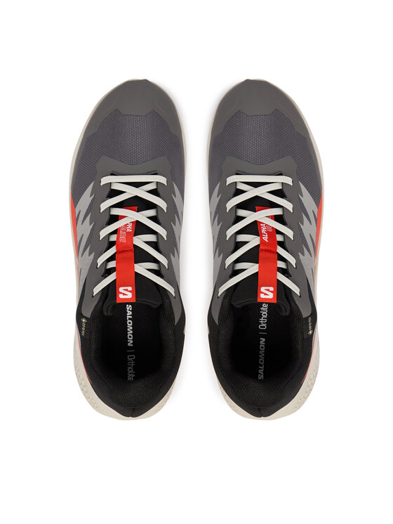 Salomon Salomon Tekaški čevlji Alphaglide Gore-Tex L47975300 Siva