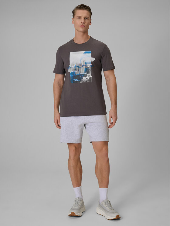 4F 4F Szorty sportowe CITY Szary jasny Regular Fit