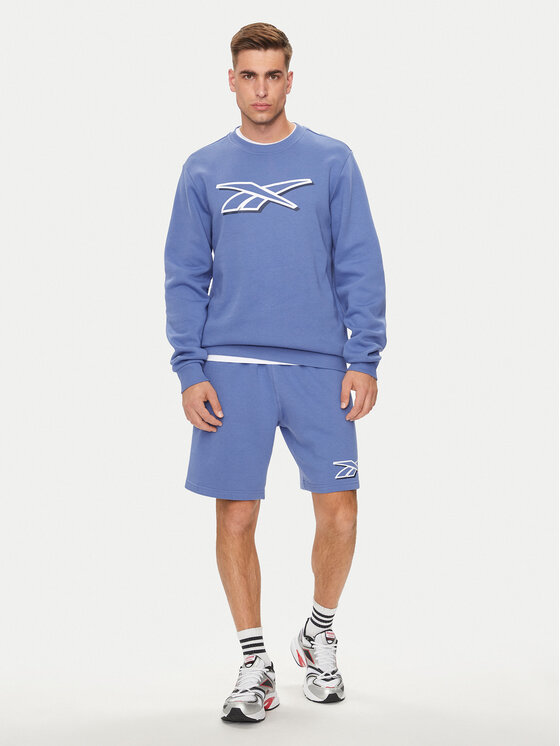 Reebok Reebok Majica dugih rukava Vector Logo 100202411 Plava Regular Fit
