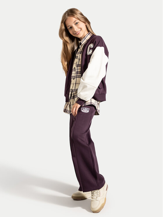 Coccodrillo Coccodrillo Jogginghose ZC4120103AGJ Violett Regular Fit