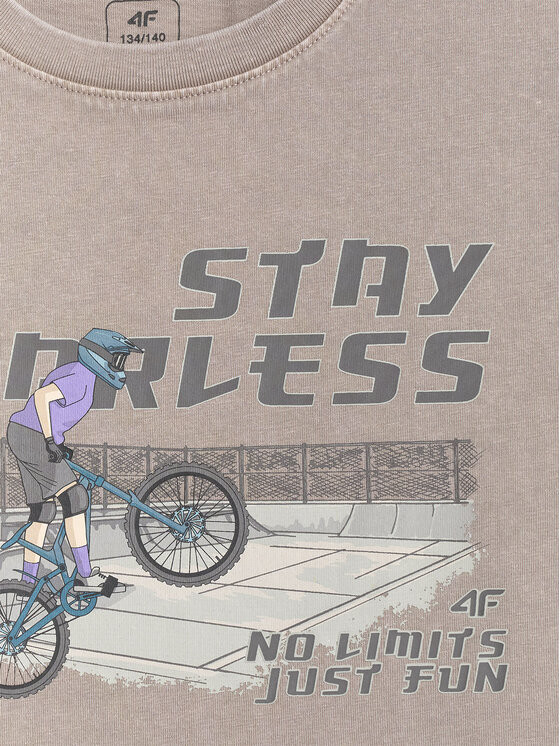 4F 4F T-Shirt T-SHIRT GALLERY Szary Loose Fit