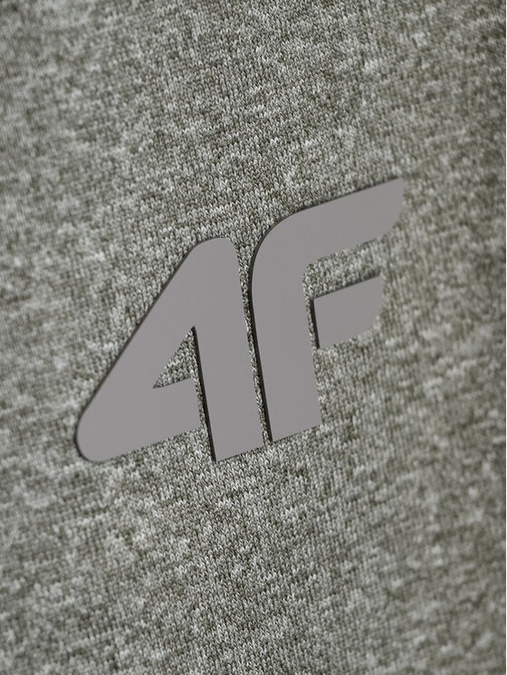 4F 4F Spodnie dresowe BASIC+ Szary Regular Fit