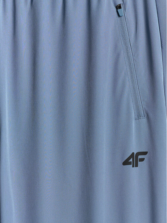 4F 4F Spodnie dresowe MULTI ACTIVE Regular Fit