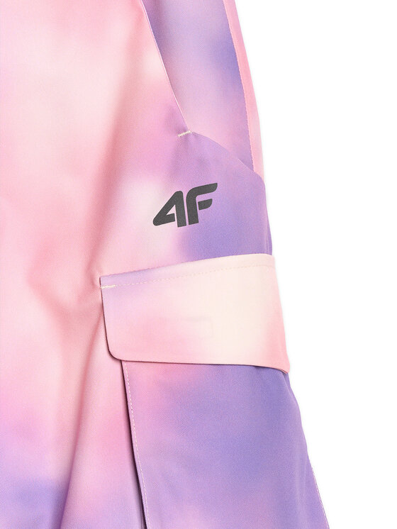 4F 4F Spodnie snowboardowe FREE ON BOARD Kolorowy Regular Fit