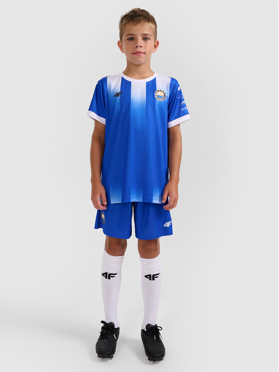 4F 4F Koszulka techniczna TEAMWEAR Kolorowy Regular Fit