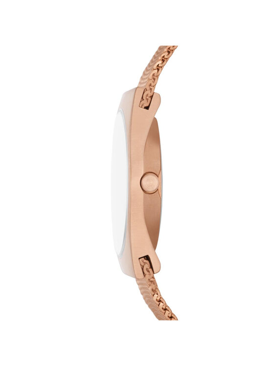Skagen Skagen Zegarek Grenen SKW3035 Złoty