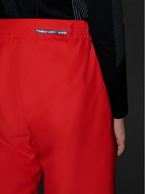 4F 4F Spodnie narciarskie SKI CLASSIC Czerwony Regular Fit