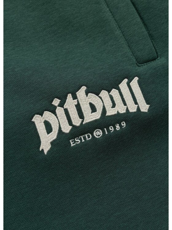 PITBULL PITBULL Spodnie dresowe TAYLOR Zielony Regular Fit