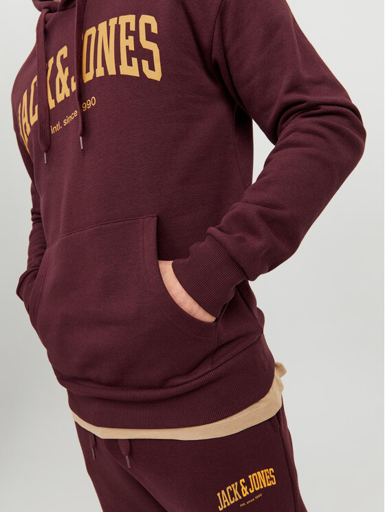 Jack & Jones Jack & Jones Bluză Josh 12236513 Vișiniu Standard Fit