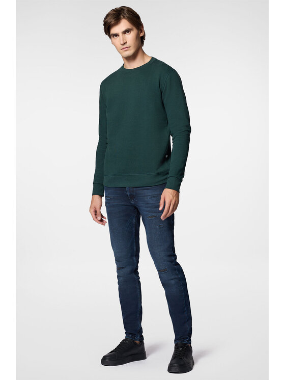 Próchnik Próchnik Bluza PM13 BL073224000004 Zielony Regular Fit