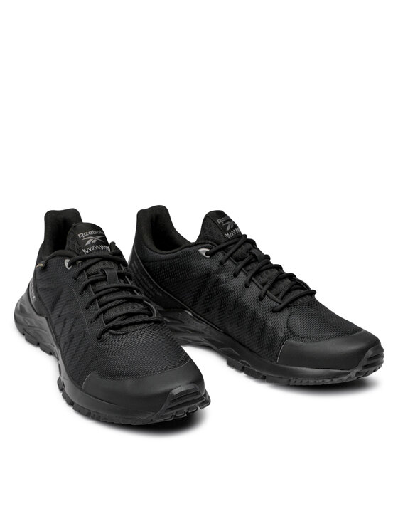 Reebok Reebok Běžecké boty Astroride Trail Gtx 2.0 GORE-TEX EF4157 Černá