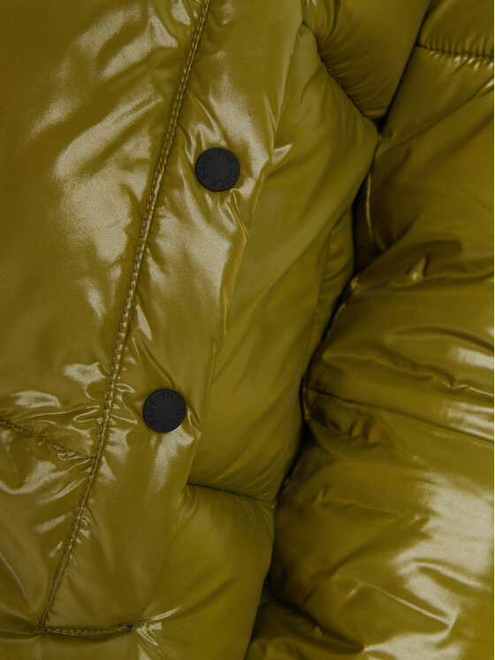 Save The Duck Save The Duck Μπουφάν χειμωνιάτικο D31989W LUCK19 Πράσινο Regular Fit