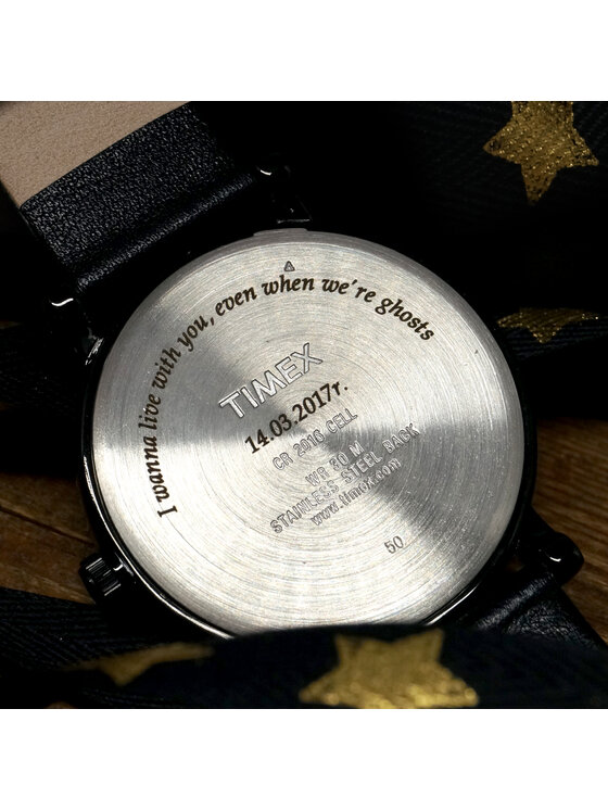 Timex Timex Hodinky TW2Y24000 Stříbrná