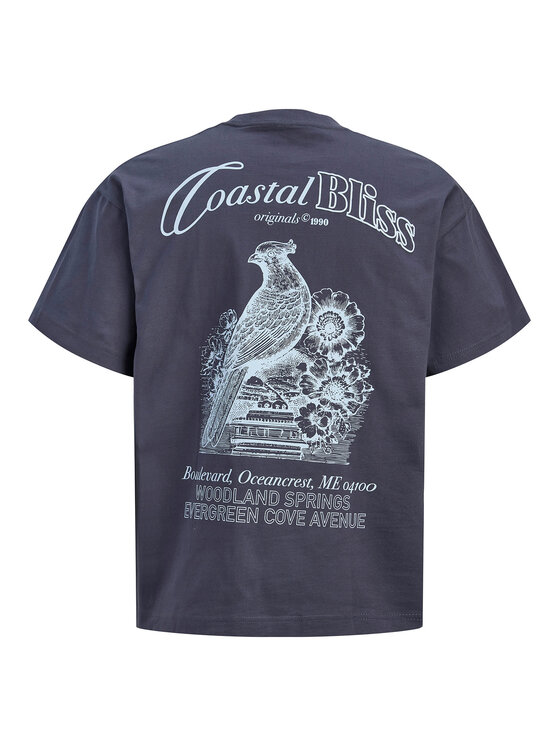 Jack & Jones Jack & Jones Marškinėliai Maine 12291780 Pilka Regular Fit