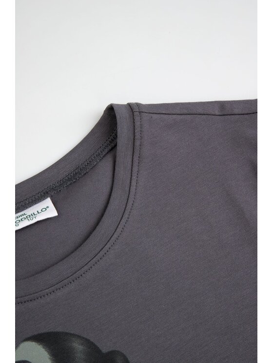 Coccodrillo Coccodrillo T-Shirt ZC6143211VGA-020 Szary Regular Fit