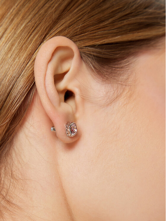 Swarovski Swarovski Orecchini Birthstone 5660799 Argento