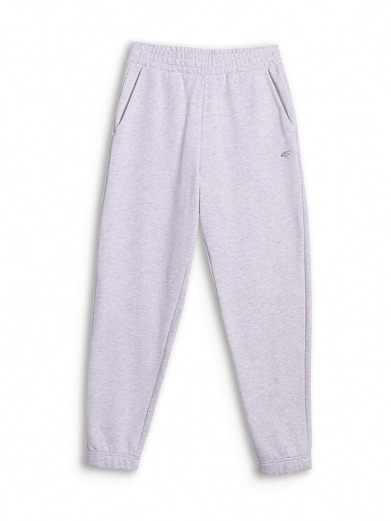 4F 4F Spodnie dresowe basic Szary jasny Regular Fit