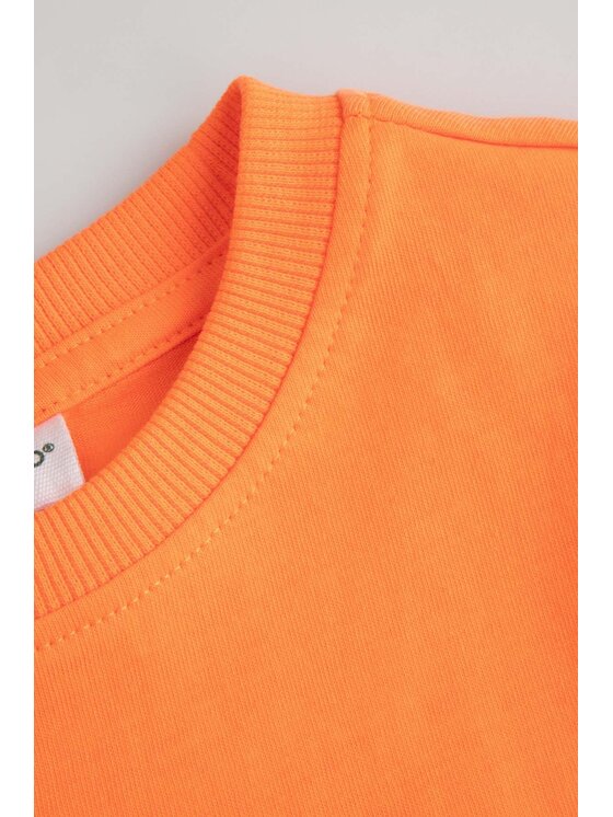 Coccodrillo Coccodrillo T-Shirt ZC6143203SBK-006 Pomarańczowy Regular Fit