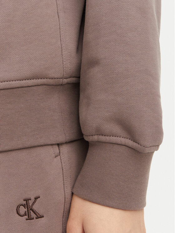 Calvin Klein Jeans Calvin Klein Jeans Bluza Monogram LV047F223G Beżowy ciemny Regular Fit