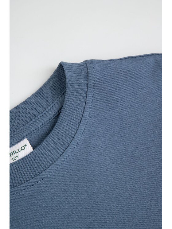 Coccodrillo Coccodrillo T-Shirt ZC6143212VBA-014 Niebieski Regular Fit