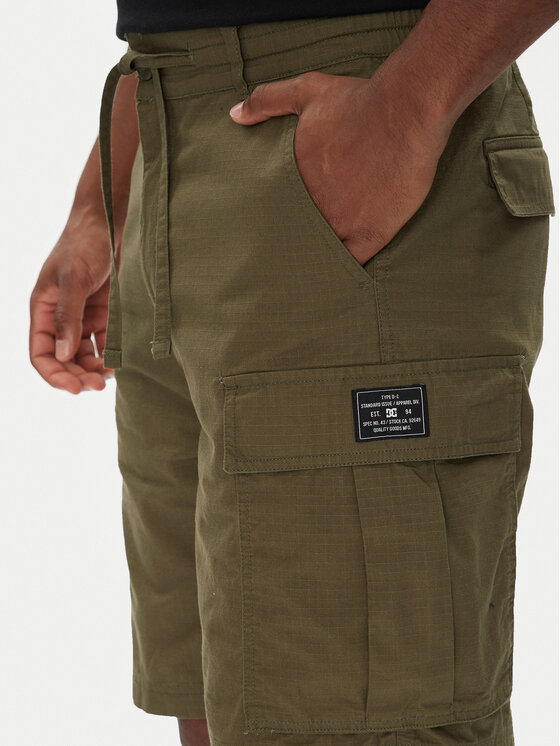 DC DC Stoffshorts Tundra ADYWS03086 Grün Regular Fit
