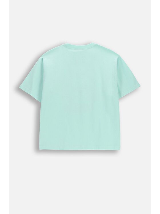 Coccodrillo Coccodrillo T-Shirt WC6143201SGJ-011 Zelená Regular Fit