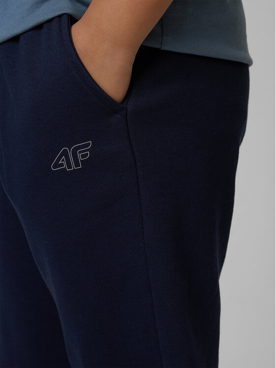4F 4F Spodnie dresowe NOS Granatowy Regular Fit