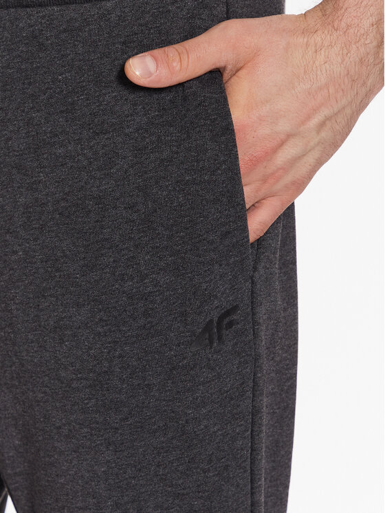 4F 4F Спортивні штани 4FSS23TTROM223 Сірий Regular Fit