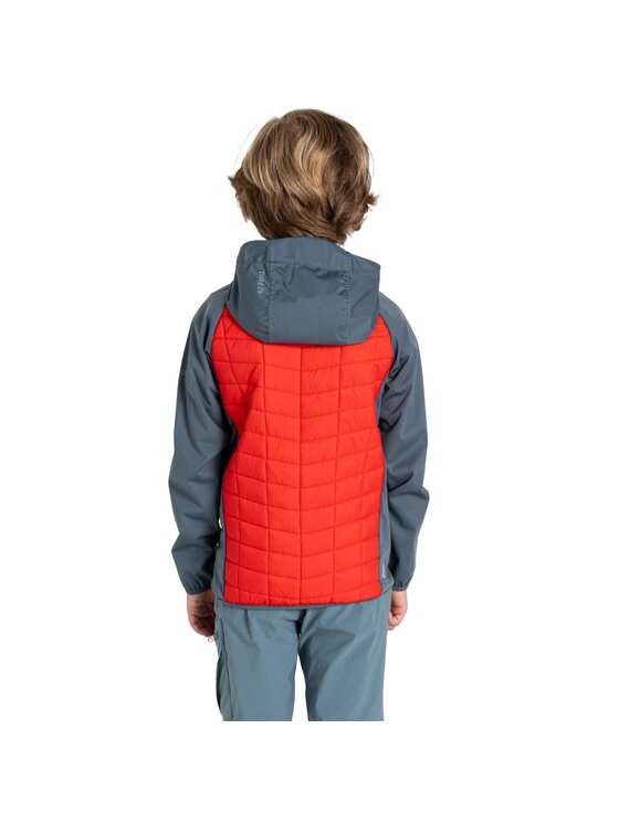 Dare2B Dare2B Kurtka softshell Explore II Szary Fitted Fit