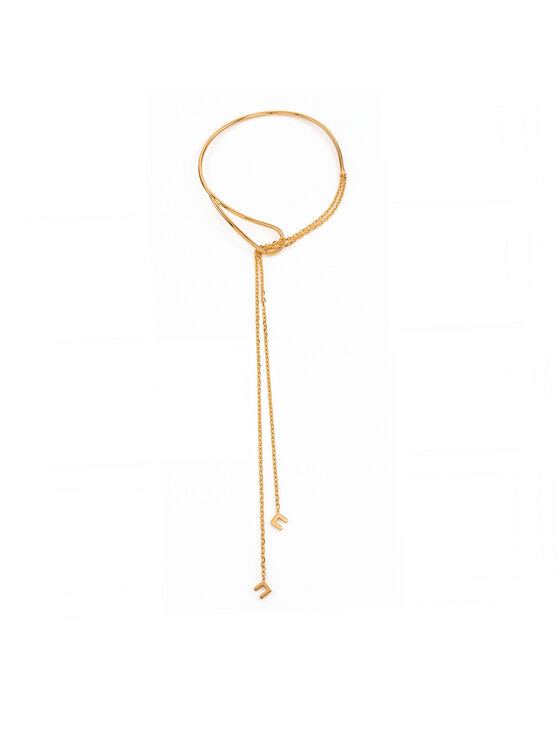 Elisabetta Franchi Elisabetta Franchi Намисто CO-74B-67E2-V340 Золотий