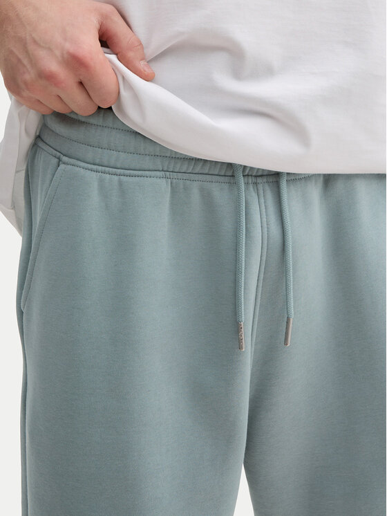 Tom Tailor Denim Tom Tailor Denim Szorty sportowe 1045584 Niebieski Regular Fit